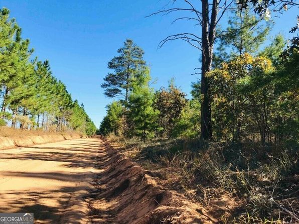 245 Dog Track Rd, Mauk, GA 31058
