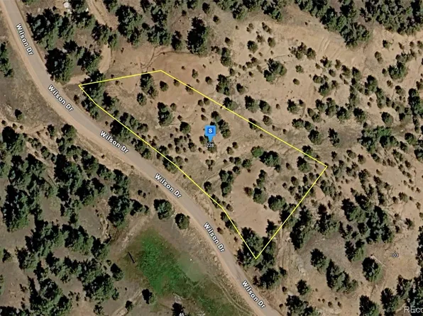 228 Wilson Drive, Florissant, CO 80816