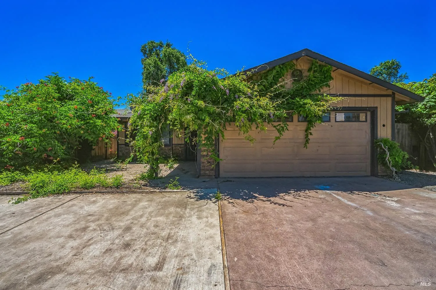 358 Alterra Dr photo 1
