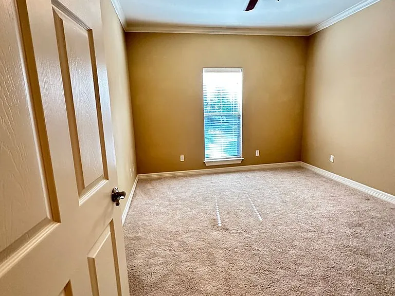 297 Old Palmetto Rd — Photo 20