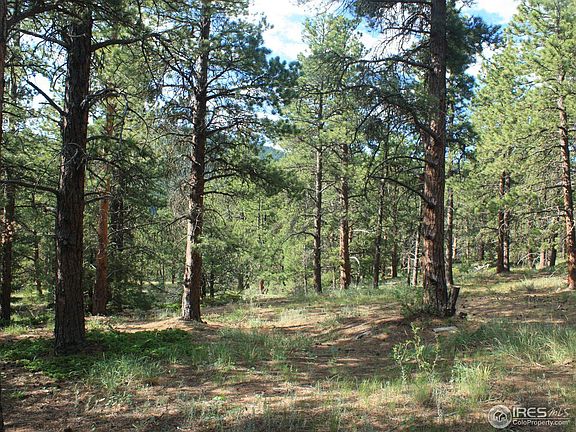 3rd image of 19353 S Saint Vrain Dr
