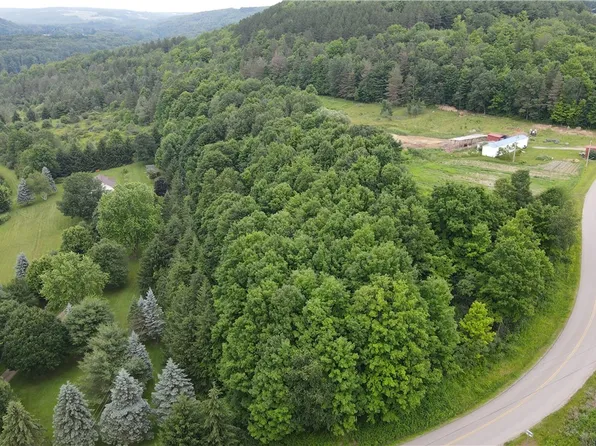 0 Hornell Reservoir Rd #13, Hornell, NY 14843