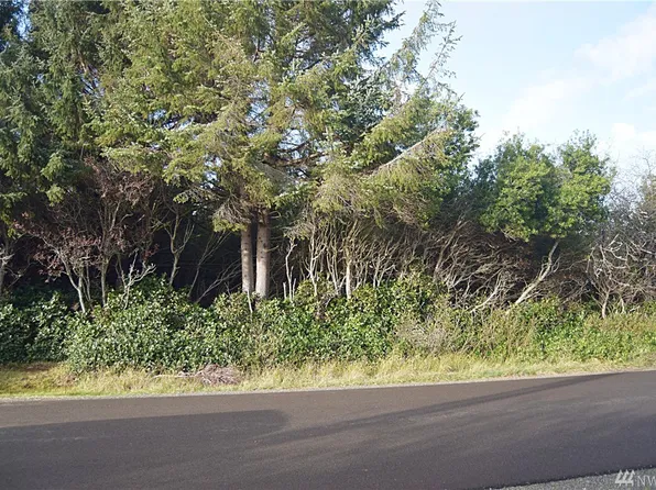 182 Kelp St NW, Ocean Shores, WA 98569