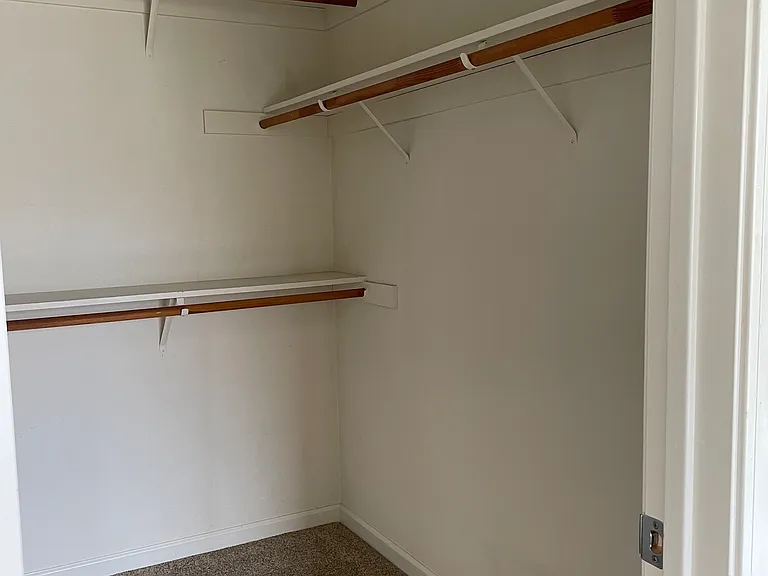 Master walk-in closet