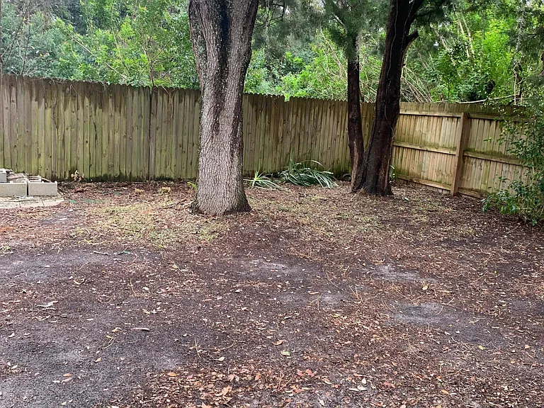 Backyard After a Rainy Day