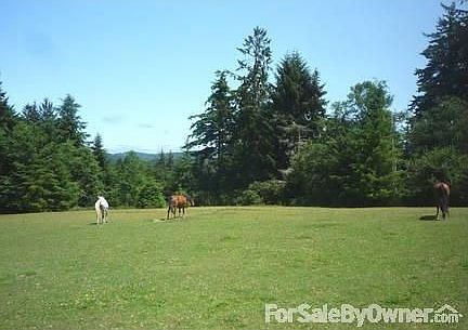 5th image of 68395 Tioga Dr