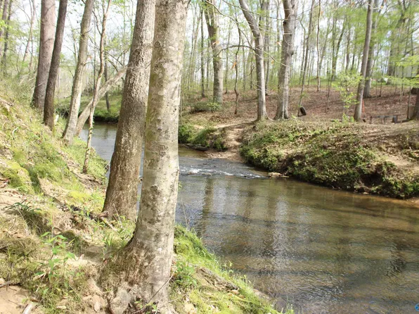 County Road 518, Moulton, AL 35650