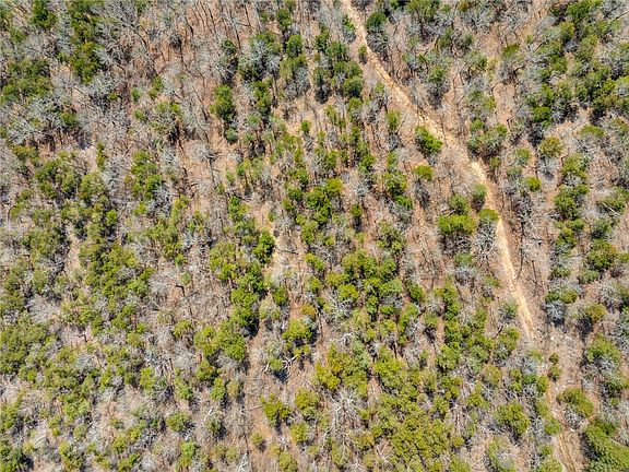 3rd image of S T R #23-21-16