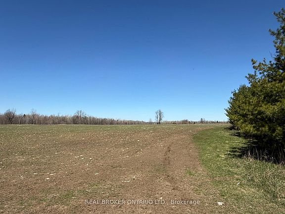 3rd image of 3115 Paden Rd