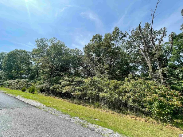 Deepwood Dr, Murray, KY 42071