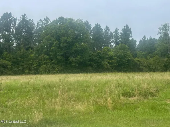 Bass Cv Lot 6, Perkinston, MS 39573