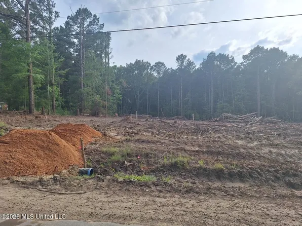 709 Old Pinola Braxton Rd, Braxton, MS 39044