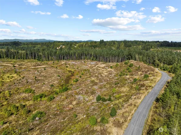 0 Salmon Creek Road, Toledo, WA 98591