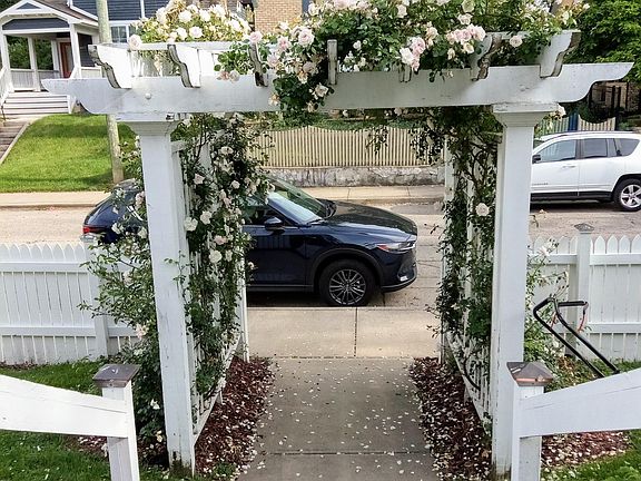 the front porch is a soothing OASIS from stress at the office. Coffee in the morning, drinks after work!