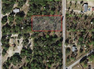 11754 N Belluzzi Ter, Dunnellon, FL 34433