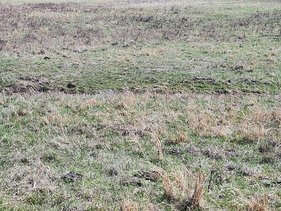 5th image of Tbd Morris Road Road