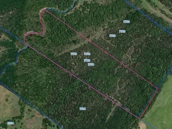 County Road 1053, Wortham, TX 76693