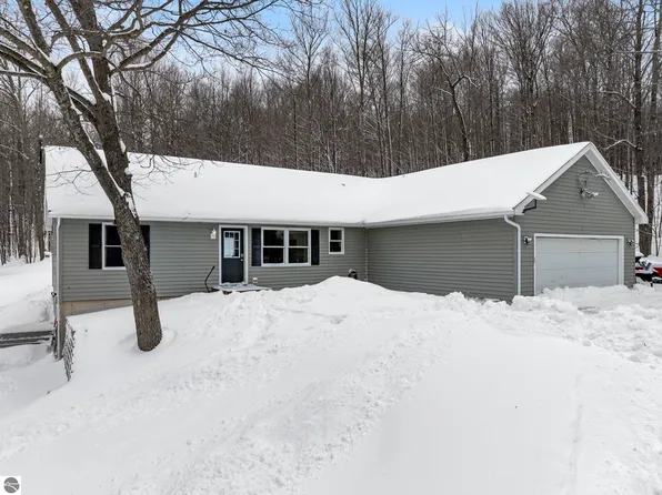 6081 Riley Ridge Ln, Thompsonville, MI 49683