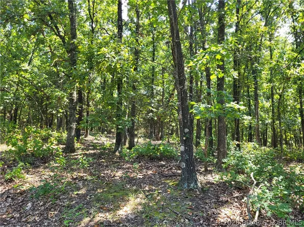 Trinchera Rd #3944 & 3945, Edwards, MO 65326