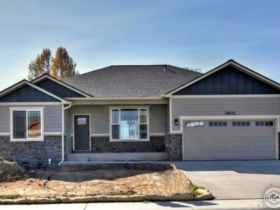3901 Mount Flora St, Wellington, CO, 80549