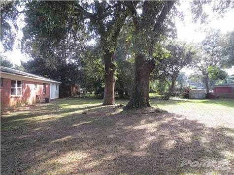 NICE BIG SHADY BACKYARD