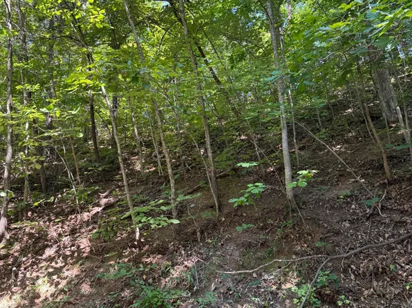 Progress Hill Blvd, Pigeon Forge, TN 37863