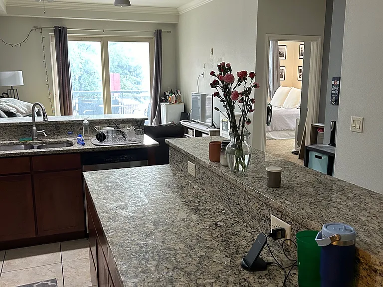 1700 N Emerson St #208 — Photo 8