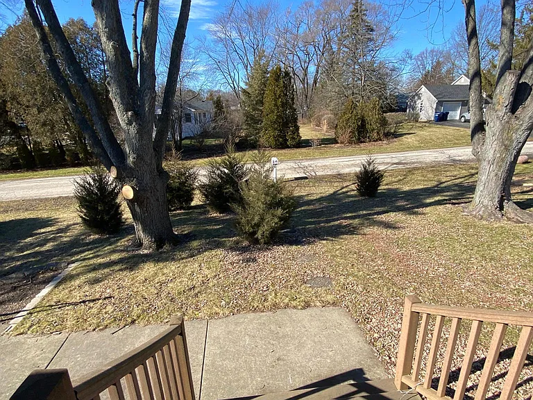 Front yard