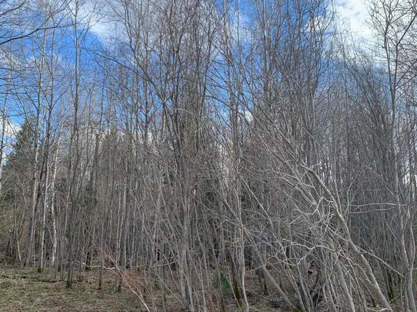 0 County Road 436, Mc Millan, MI 49853