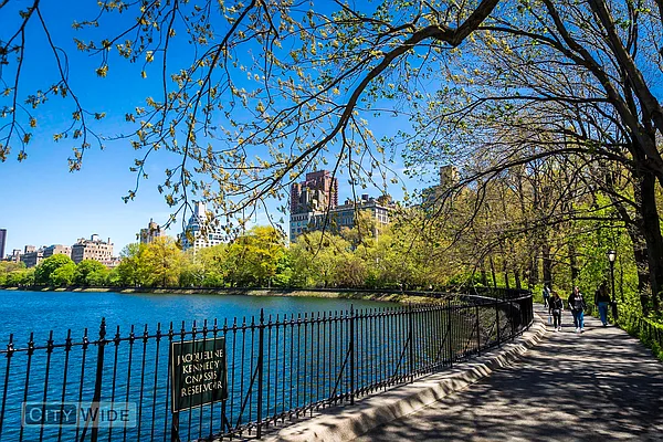 Rented by City Wide Apartments | media 1