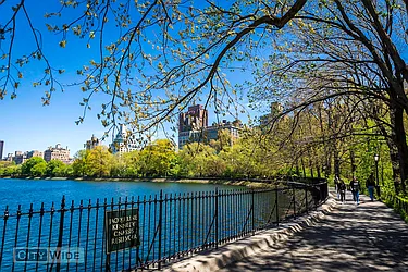 Rented by City Wide Apartments