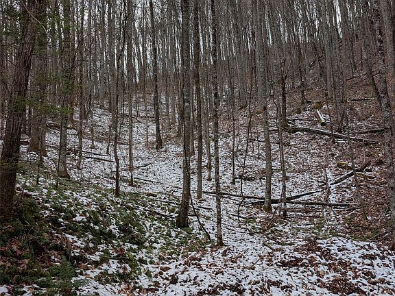 3rd image of lot 3 Black Gap Road