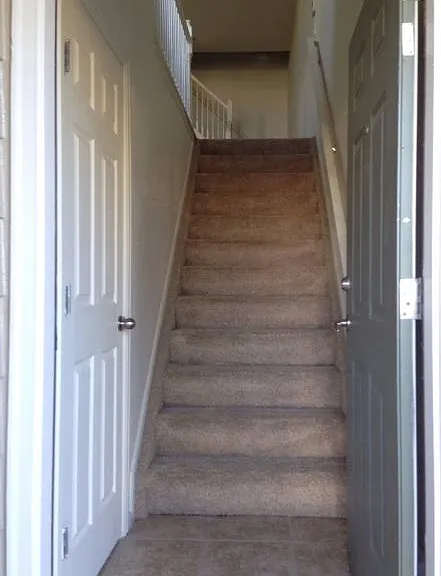 431 Black Feather Loop #818 — Photo 7
