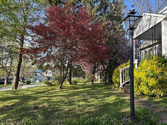 Margin Ave — Photo 12