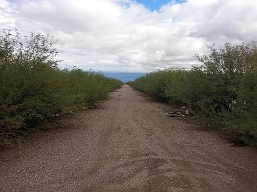 2nd image of 4165 W Saguaro Dr