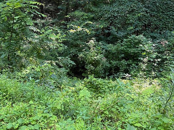 5th image of LOT 56 Butternut Ln
