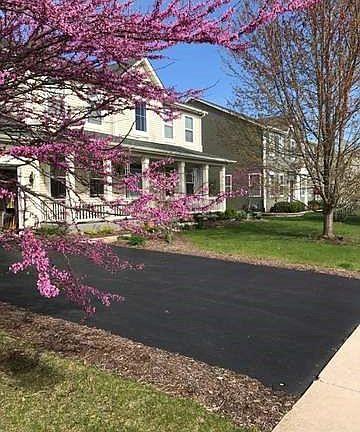 Beautiful Redbud tree in the front yard!!