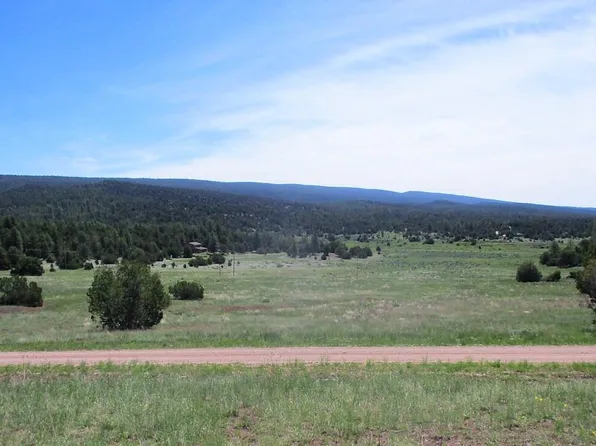45 Sunflower Dr, Ramah, NM 87321
