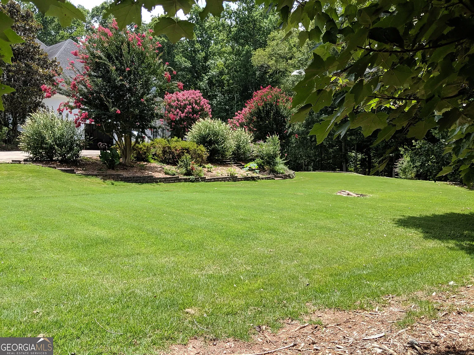 1 bed, 1.0 bath, 2500 sqft, $3,000 — Photo 4