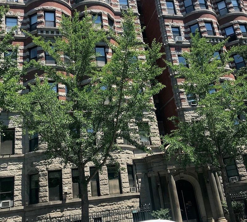 1st image of 137 Central Park N #1A