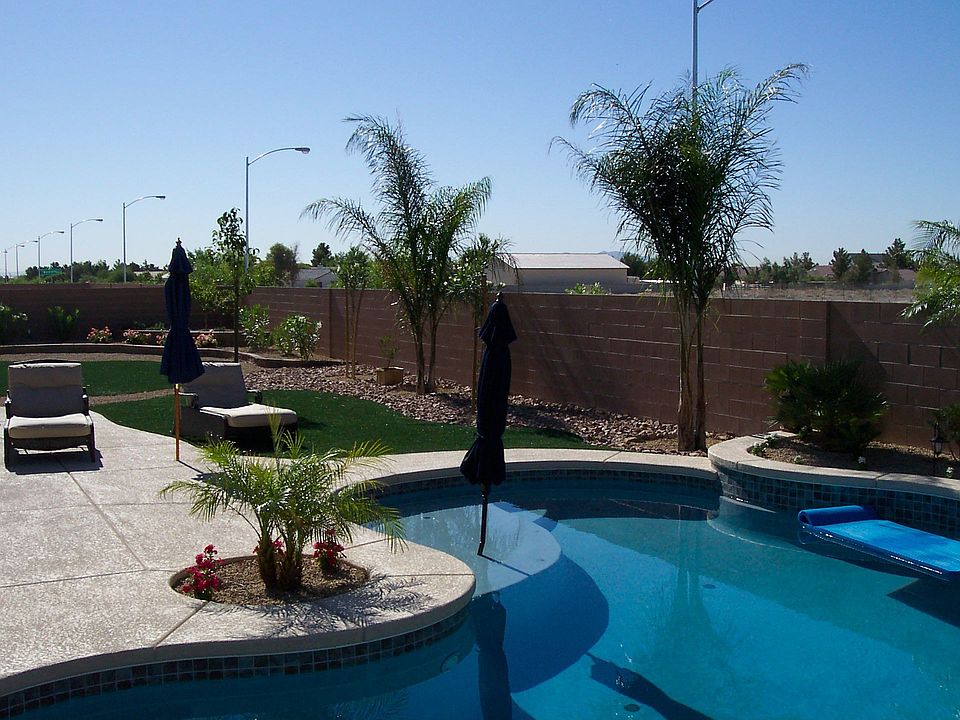 backyard 1