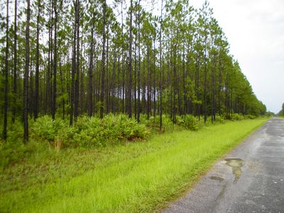 00 East Folsom Trl, SANDERSON, FL, 32087