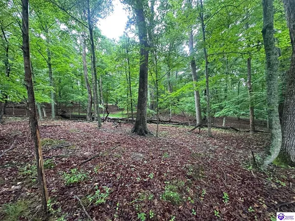 0 Red Wing Rd, Brandenburg, KY 40108