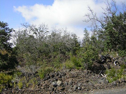 2nd image of Lot 31