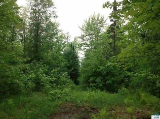 Xxx Fire Lake Rd, Iron River, WI 54847