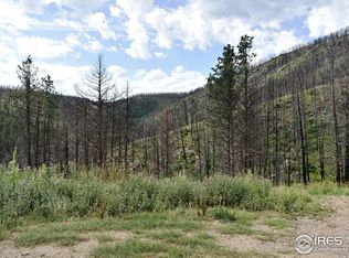 27836 Buckhorn Rd, Bellvue, CO 80512