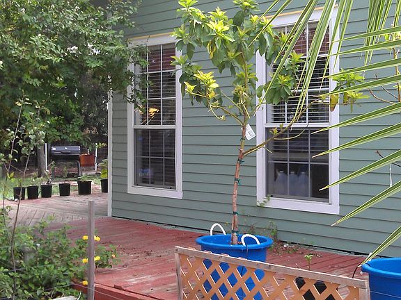 Raised bed rock garden
