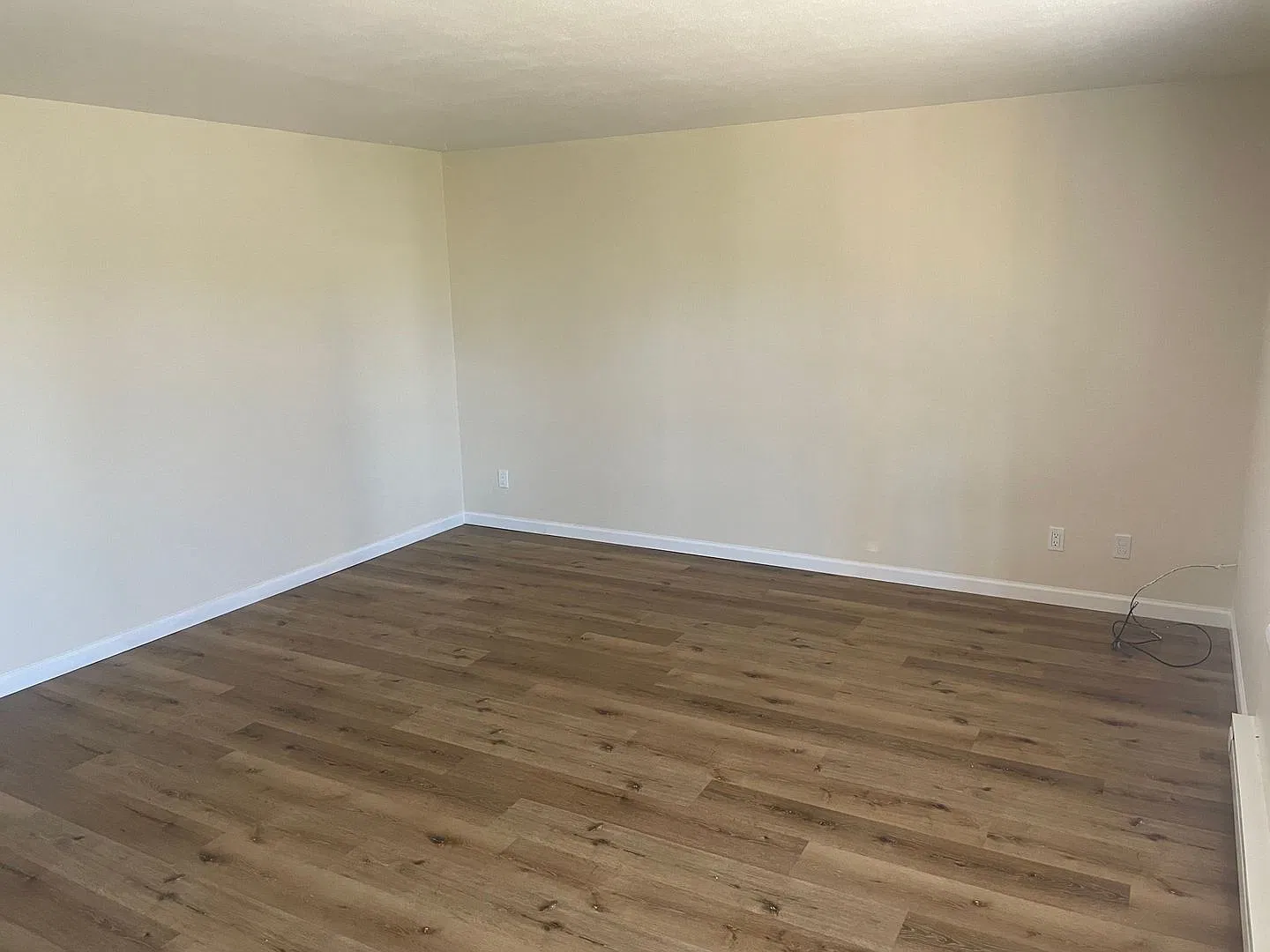 Coidylwood — Photo 3