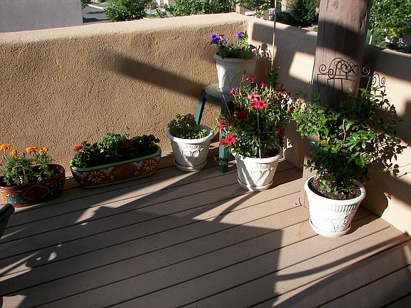 Balcony gardening