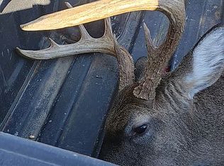 1362 Wind Mill Rd, Boaz, AL 35957